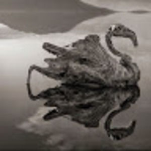 Meet your Posher, Cleverer